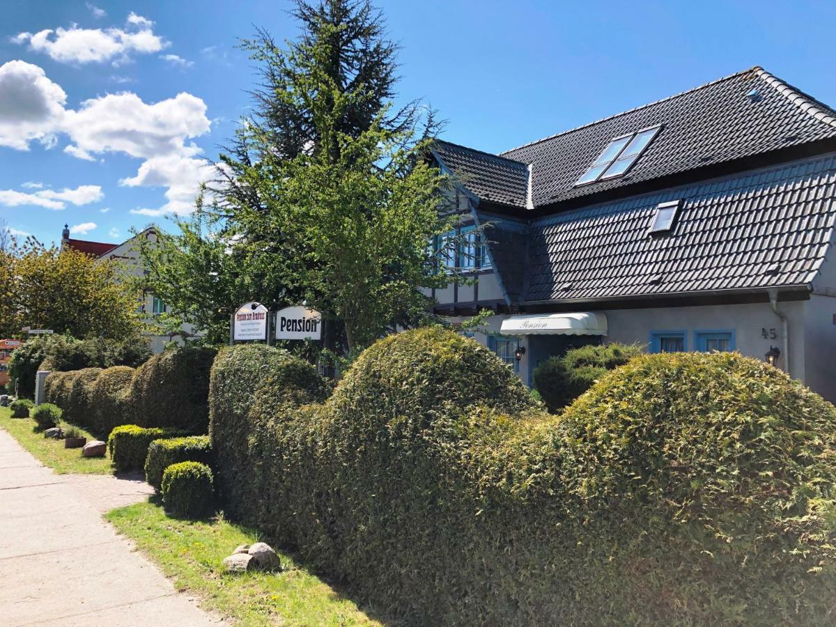 Pension Zum Brauhaus Stralsund Zewnętrze zdjęcie