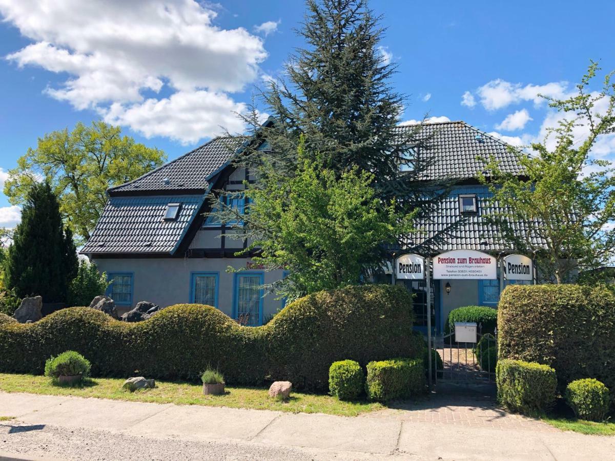 Pension Zum Brauhaus Stralsund Zewnętrze zdjęcie